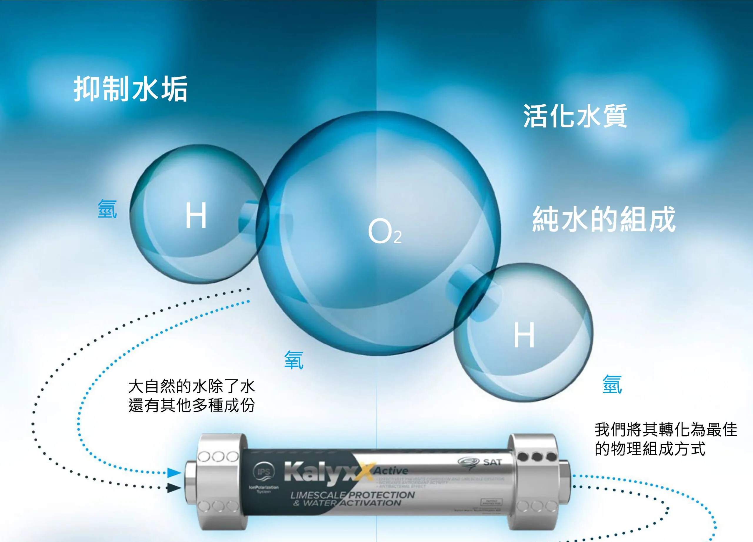 WFS ACTIVE P4 4 scaled