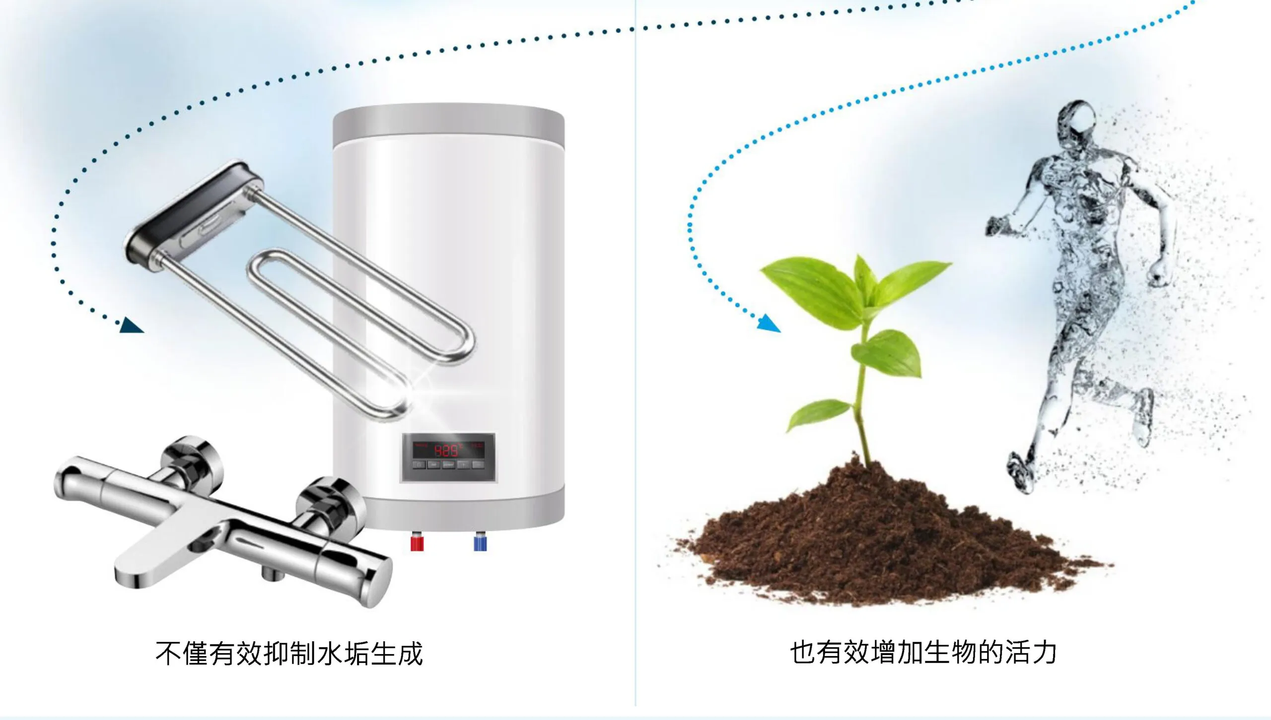 WFS ACTIVE P4 5 scaled